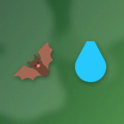 Cave Expedition